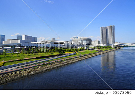 5月　江東202豊洲市場･青果棟 65978066