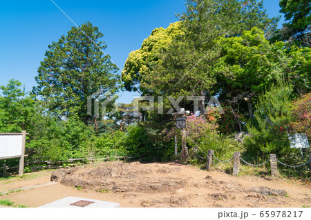 天覧山山頂(奥武蔵) 天覧山山頂(奥武蔵) 65978217