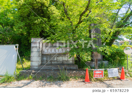 奥武蔵自然公園 65978229