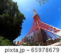 東京タワー快晴 65978679