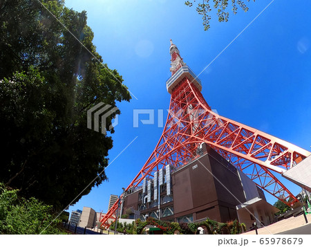東京タワー快晴 65978679