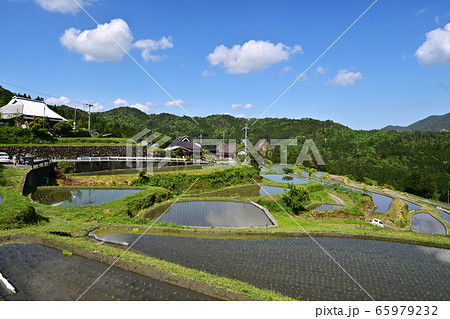 畑の棚田 畑の棚田 65979232