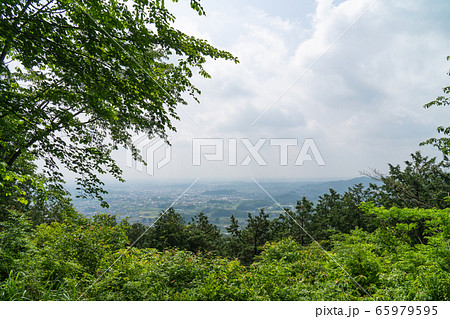 大高取山（奥武蔵） 65979595