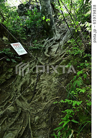 三徳山より 三徳山より 65979838