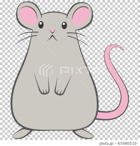 上を向くねずみのイラスト素材 [65980510] - PIXTA