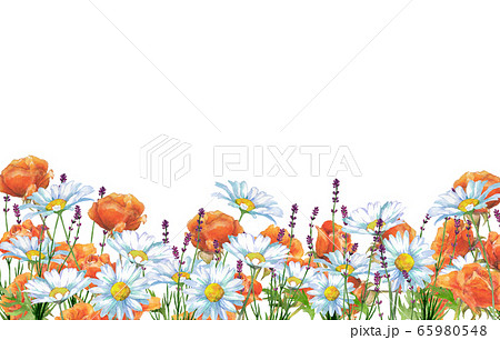 薔薇とデイジーとラベンダー 薔薇とデイジーとラベンダー 65980548