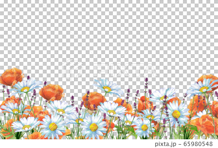 薔薇とデイジーとラベンダー 薔薇とデイジーとラベンダー 65980548