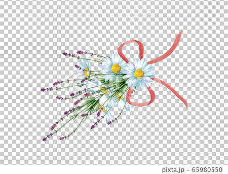 雛菊和薰衣草花束 65980550