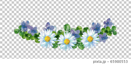 Violet and daisy watercolor 65980553
