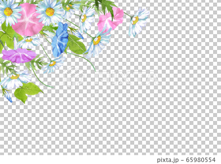 牽牛花和瑪格麗特 牽牛花和瑪格麗特 65980554