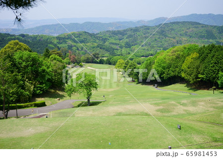 新緑のゴルフコース 65981453