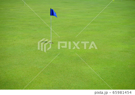 ５月のグリーンー１ 65981454