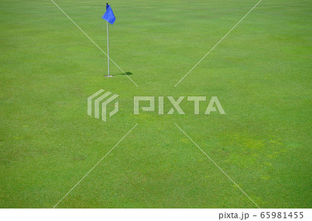 ５月のグリーンー２ 65981455