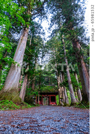 戸隠神社・随神門 戸隠神社・随神門 65981532
