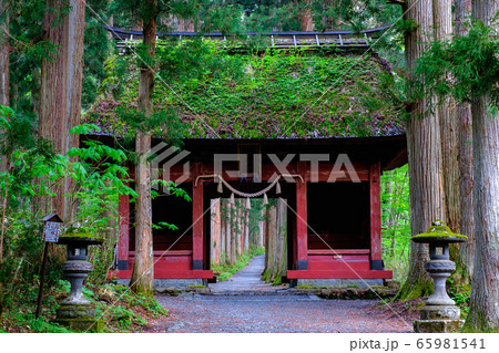 戸隠神社・随神門 65981541