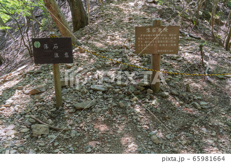 伊豆ヶ岳の男坂（奥武蔵） 65981664