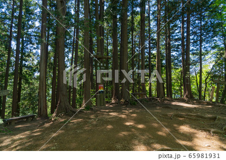 高畑山頂（奥武蔵） 65981931