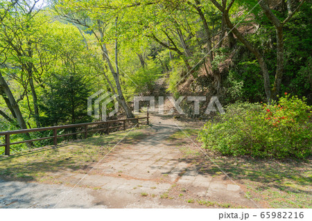 御前山の登山口（奥多摩） 65982216