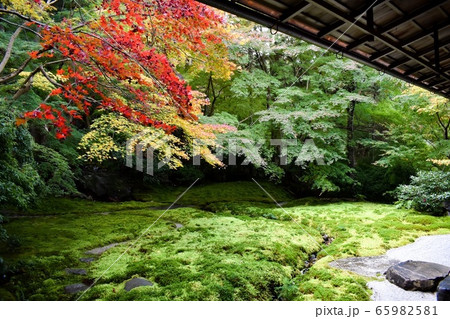 秋の瑠璃光院 紅葉に彩られた日本庭園の写真素材