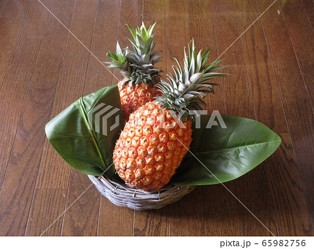 パイナップル パイナップル 65982756