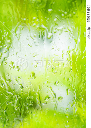梅雨　雨　水滴　風景 65983694