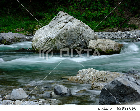 多摩川 多摩川 65983696
