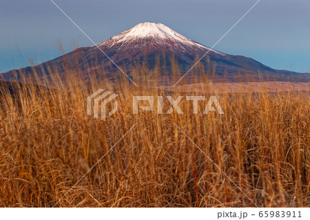 三国山稜・鉄砲木ノ頭から夜明けの富士山 三国山稜・鉄砲木ノ頭から夜明けの富士山 65983911