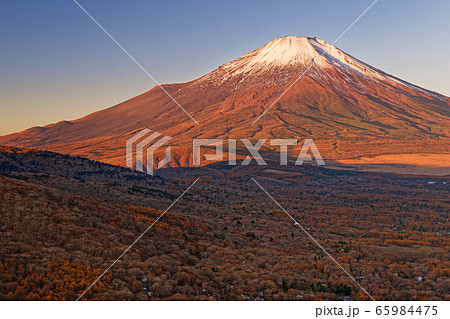 三国山稜・鉄砲木ノ頭から朝の富士山を望む 三国山稜・鉄砲木ノ頭から朝の富士山を望む 65984475