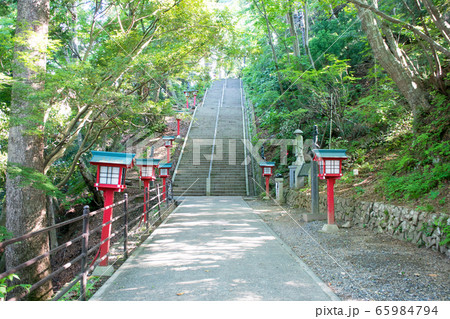 高尾山 高尾山薬王院 表参道 108段の男坂 高尾山 高尾山薬王院 表参道 108段の男坂 65984794