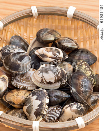 生のアサリ 生のアサリ 65985484