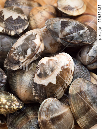 生のアサリ 65985485