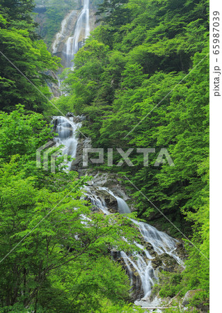 精進ヶ滝と石空川渓谷 65987039