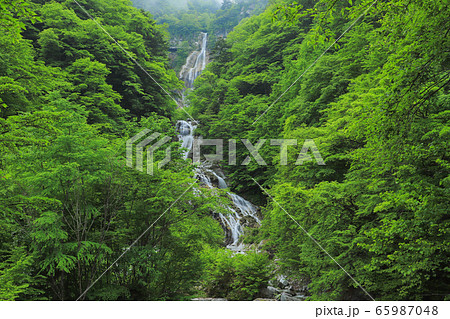 精進ヶ滝と石空川渓谷 精進ヶ滝と石空川渓谷 65987048