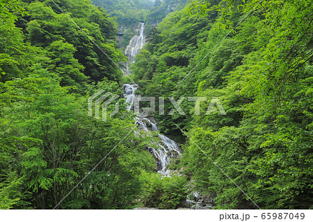 精進ヶ滝と石空川渓谷 65987049