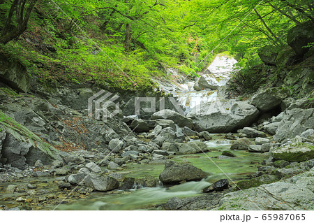竜洗峡　精進ヶ滝と石空川渓谷 65987065