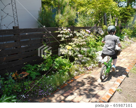 庭で自転車に乗る子どもの写真素材 [65987101] - PIXTA