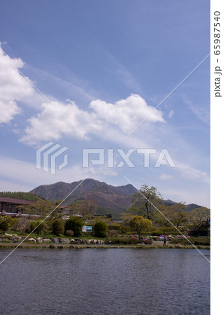 鯉の池＠山梨県南都留郡忍野村 65987540