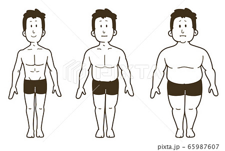 男性の体型の変化 正面 3段階のイラスト素材
