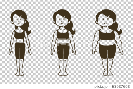 女性の体型の変化 正面 3段階のイラスト素材