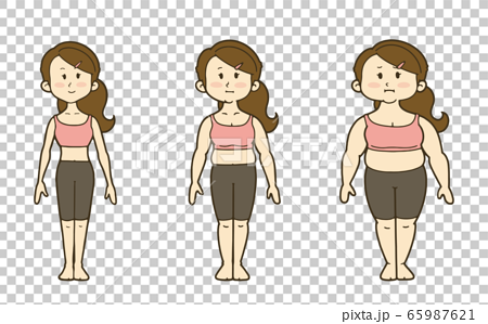 女性の体型の変化 正面 3段階のイラスト素材