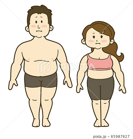 男女の人体のイラスト 正面 肥満のイラスト素材