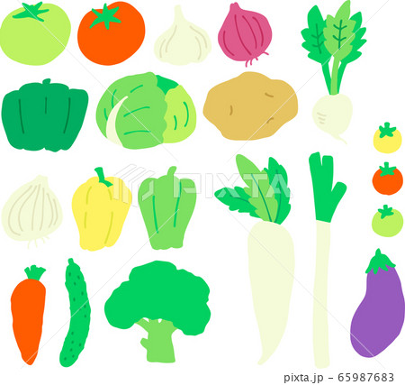 野菜イラストセット 65987683