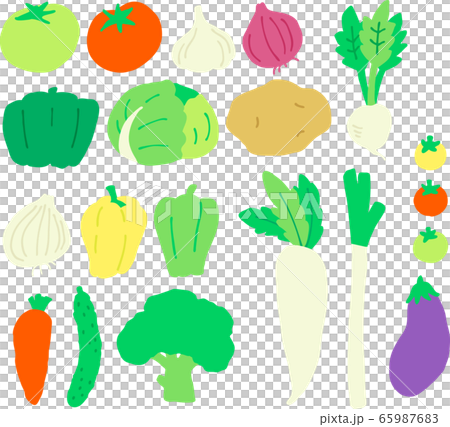 野菜イラストセット 65987683