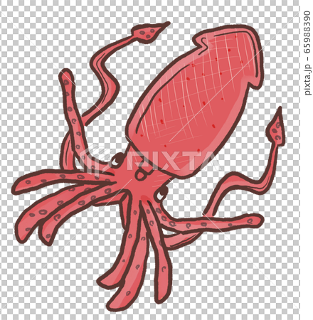 R メルヘンなかわいい深海魚 ダイオウイカ ２のイラスト素材 6590