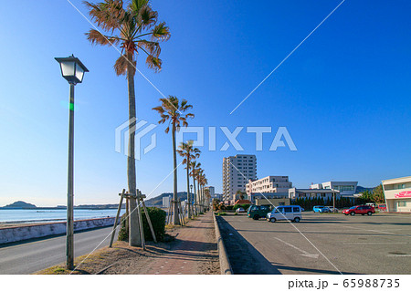鴨川市の海岸 鴨川市の海岸 65988735
