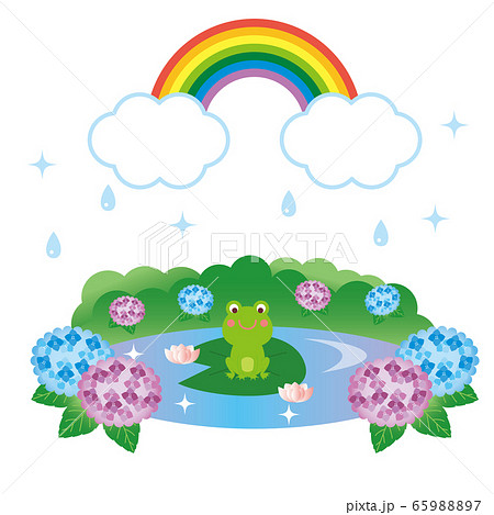 梅雨 ハスの葉の上のカエルと虹 イラストのイラスト素材 6597