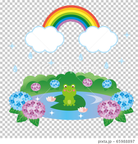 梅雨 ハスの葉の上のカエルと虹 イラストのイラスト素材 6597