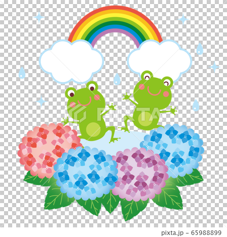 梅雨 紫陽花とカエルと虹 イラストのイラスト素材 6599