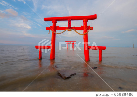 大魚神社　海中鳥居 65989486
