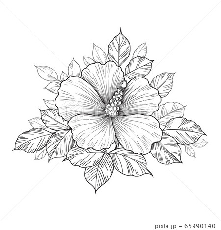 Hand Drawn Floral  Composition with Hibiscus 65990140